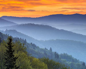 Preserve Resort Cabin Rentals